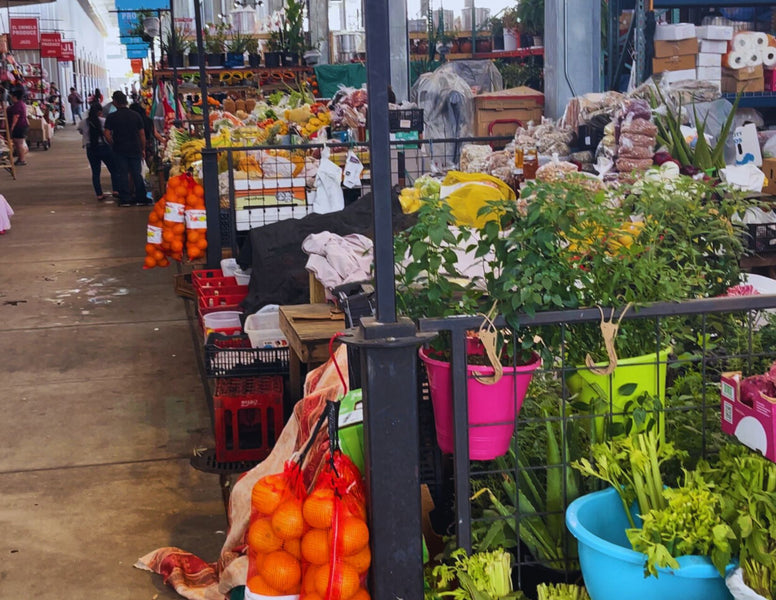 Save Money and Eat Healthy: My Guide to Shopping at Farmers Markets