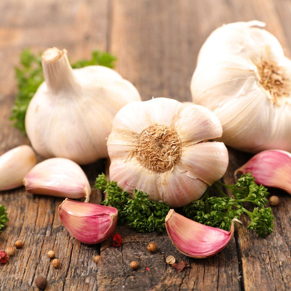 Unlocking the Health Benefits of Garlic: Nature's Superfood for Wellness and Vitality